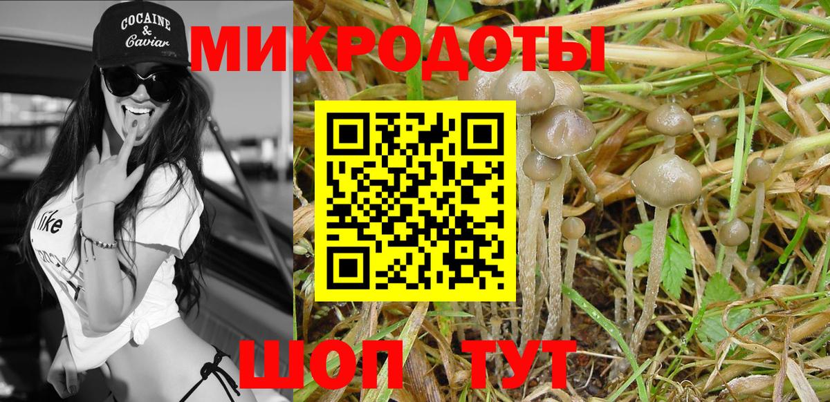 Галлюциногенные грибы Magic Shrooms Губаха