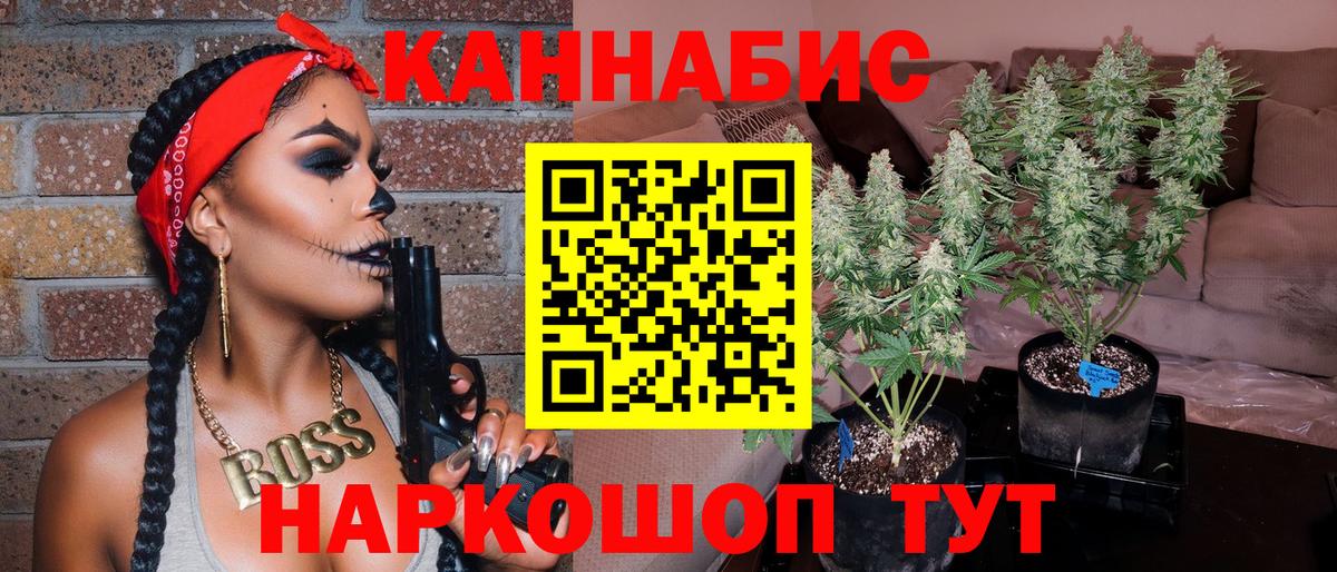 Бошки марихуана SATIVA & INDICA Губаха